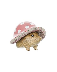 DCUK - Hedgies Hedgehogs